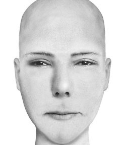 Иллюстрация к книге — Комплексная визуальная диагностика [i_276.jpg]