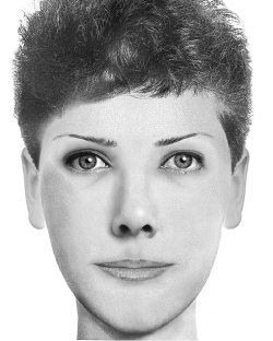 Иллюстрация к книге — Комплексная визуальная диагностика [i_298.jpg]