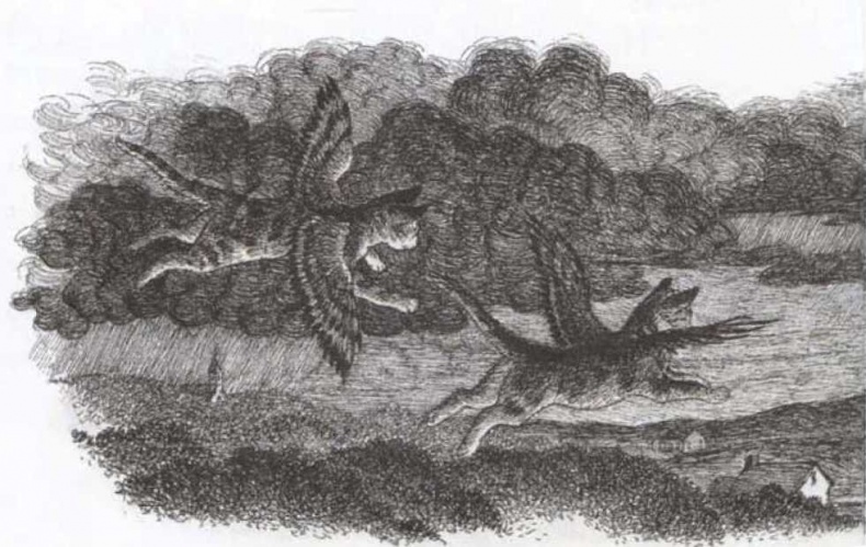 Иллюстрация к книге — Крылатые кошки возвращаются [i_006.jpg]