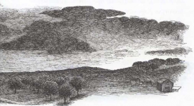 Иллюстрация к книге — Крылатые кошки возвращаются [i_007.jpg]