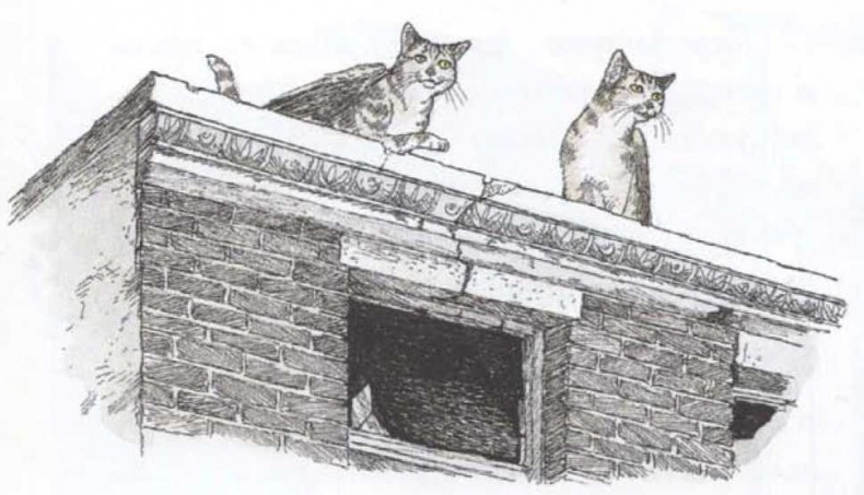 Иллюстрация к книге — Крылатые кошки возвращаются [i_008.jpg]