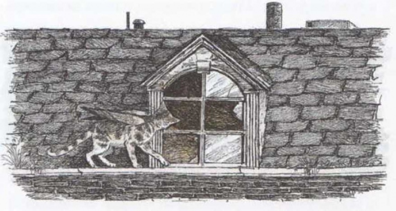 Иллюстрация к книге — Крылатые кошки возвращаются [i_010.jpg]