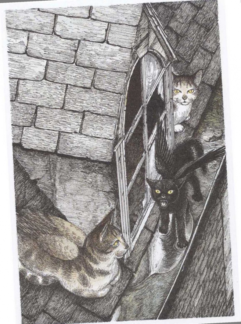 Иллюстрация к книге — Крылатые кошки возвращаются [i_012.jpg]