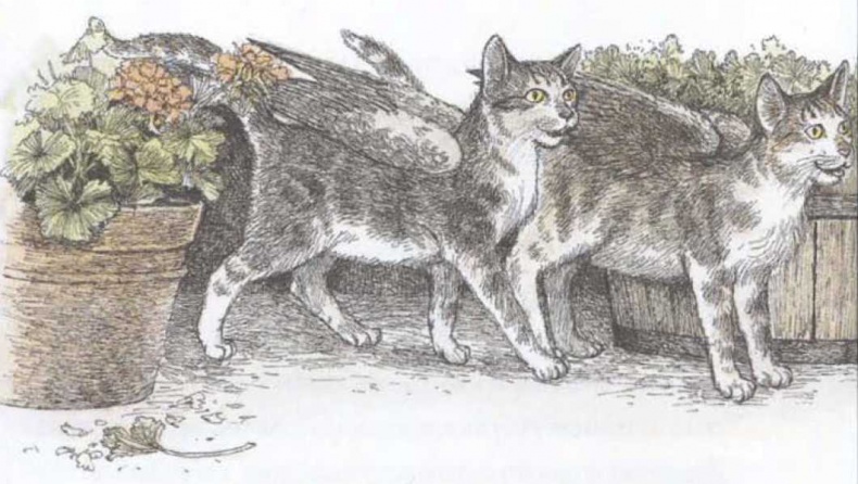 Иллюстрация к книге — Крылатые кошки возвращаются [i_016.jpg]