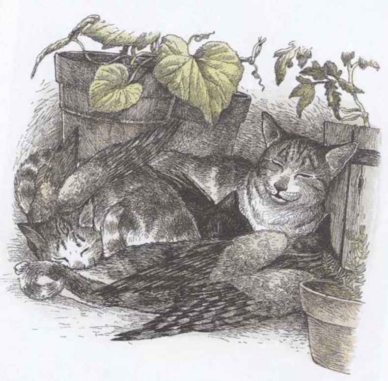Иллюстрация к книге — Крылатые кошки возвращаются [i_019.jpg]