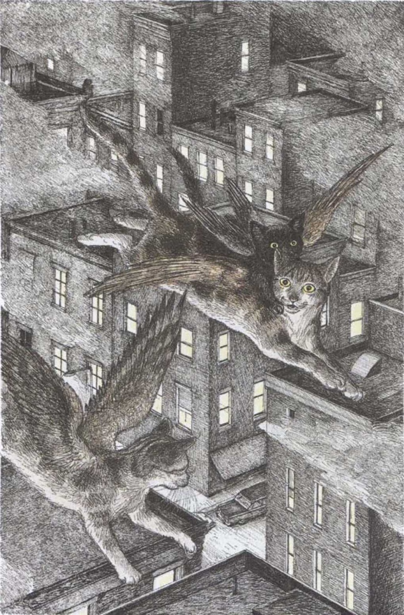 Иллюстрация к книге — Крылатые кошки возвращаются [i_020.jpg]