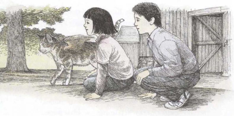 Иллюстрация к книге — Крылатые кошки возвращаются [i_023.jpg]