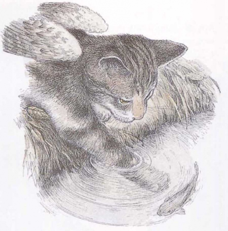 Иллюстрация к книге — Крылатые кошки [i_012.jpg]