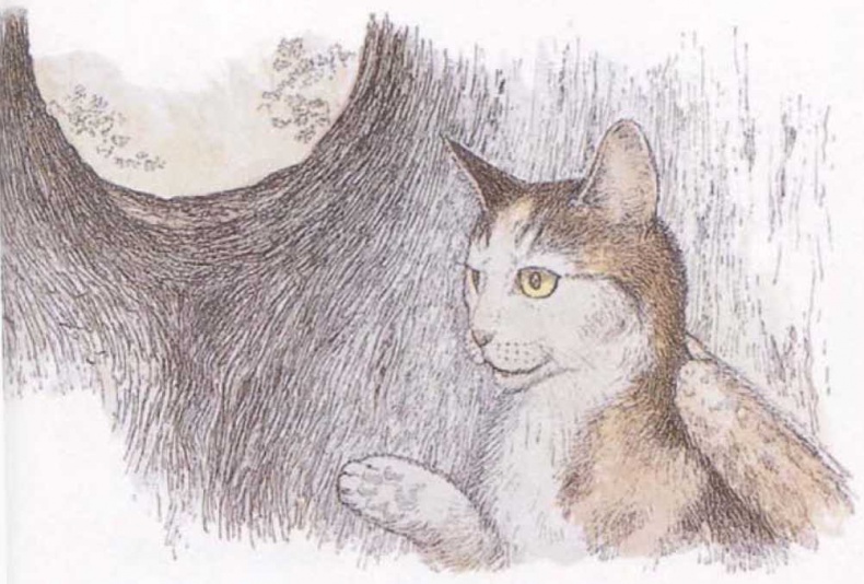 Иллюстрация к книге — Крылатые кошки [i_020.jpg]