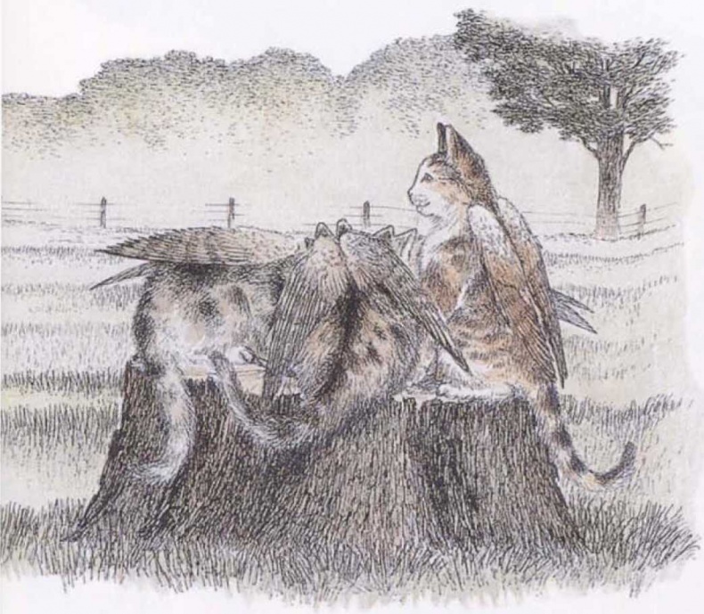 Иллюстрация к книге — Крылатые кошки [i_024.jpg]