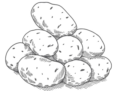 Иллюстрация к книге — Большой урожай на маленьких грядках. Все секреты повышения урожайности [i_004.jpg]