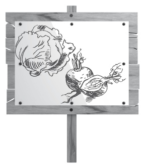 Иллюстрация к книге — Большой урожай на маленьких грядках. Все секреты повышения урожайности [i_010.jpg]