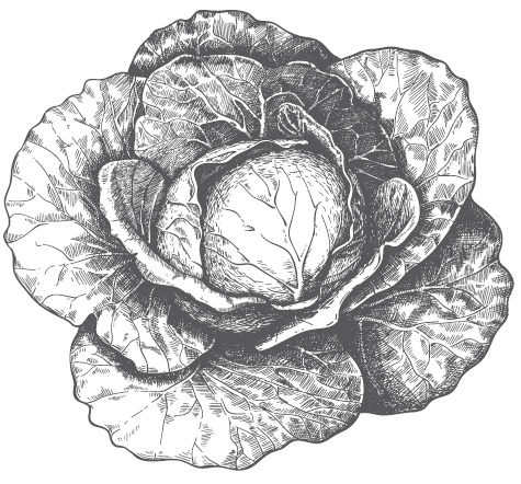 Иллюстрация к книге — Большой урожай на маленьких грядках. Все секреты повышения урожайности [i_012.jpg]