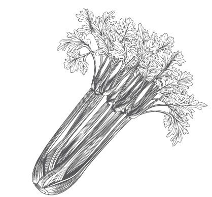 Иллюстрация к книге — Большой урожай на маленьких грядках. Все секреты повышения урожайности [i_014.jpg]