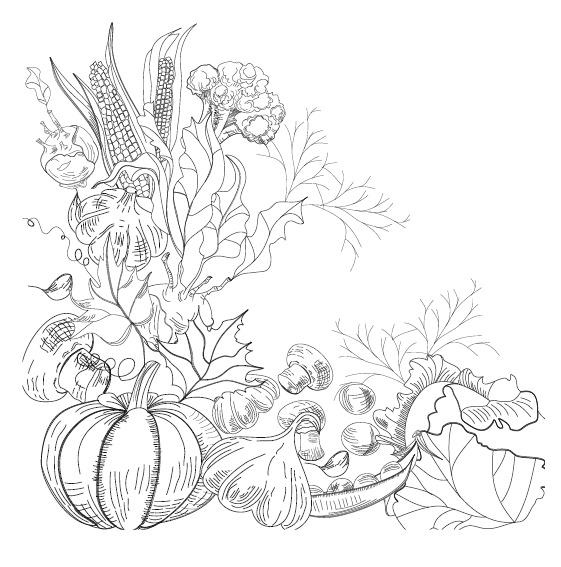 Иллюстрация к книге — Большой урожай на маленьких грядках. Все секреты повышения урожайности [i_025.jpg]