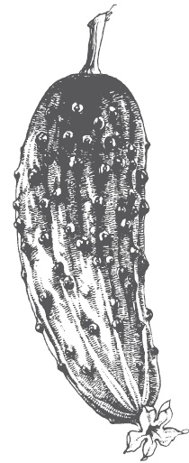 Иллюстрация к книге — Большой урожай на маленьких грядках. Все секреты повышения урожайности [i_031.jpg]