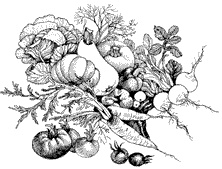 Иллюстрация к книге — Заготовки и соленья [i_006.jpg]