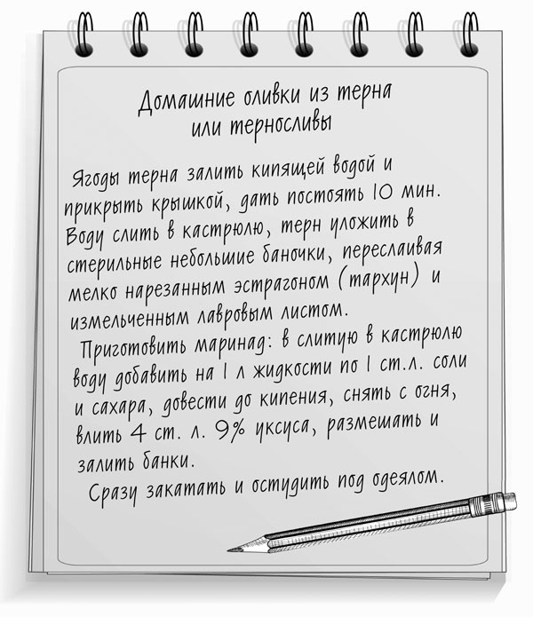 Иллюстрация к книге — Консервирование для лентяек. Вкусные и надежные заготовки по-быстрому [i_026.jpg]
