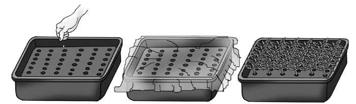 Иллюстрация к книге — Иллюстрированная энциклопедия огородника для новичков [i_005.jpg]