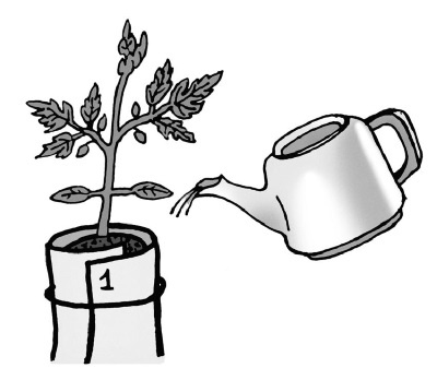 Иллюстрация к книге — Иллюстрированная энциклопедия огородника для новичков [i_008.jpg]