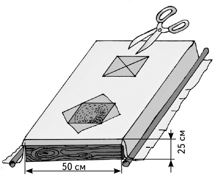 Иллюстрация к книге — Иллюстрированная энциклопедия огородника для новичков [i_009.jpg]