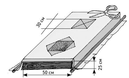 Иллюстрация к книге — Иллюстрированная энциклопедия огородника для новичков [i_019.jpg]
