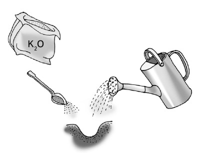 Иллюстрация к книге — Иллюстрированная энциклопедия огородника для новичков [i_020.jpg]