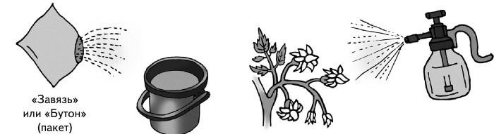 Иллюстрация к книге — Иллюстрированная энциклопедия огородника для новичков [i_023.jpg]