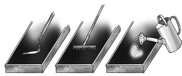 Иллюстрация к книге — Иллюстрированная энциклопедия огородника для новичков [i_037.jpg]