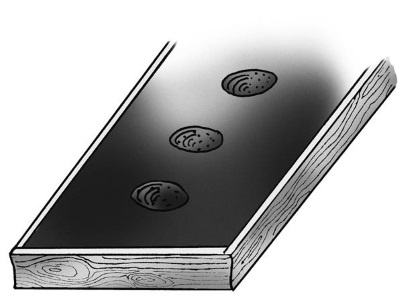 Иллюстрация к книге — Иллюстрированная энциклопедия огородника для новичков [i_038.jpg]