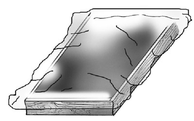 Иллюстрация к книге — Иллюстрированная энциклопедия огородника для новичков [i_041.jpg]