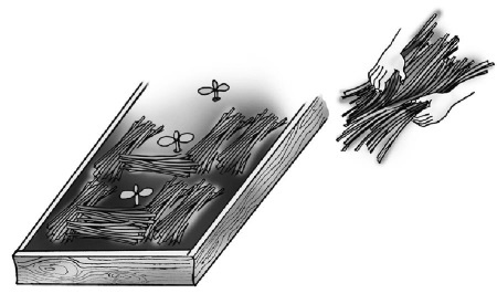 Иллюстрация к книге — Иллюстрированная энциклопедия огородника для новичков [i_042.jpg]