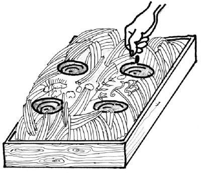 Иллюстрация к книге — Иллюстрированная энциклопедия огородника для новичков [i_048.jpg]