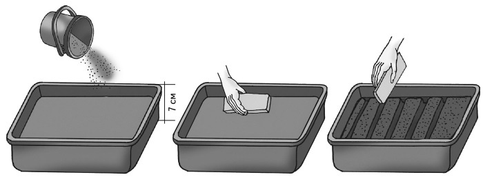 Иллюстрация к книге — Иллюстрированная энциклопедия огородника для новичков [i_064.jpg]