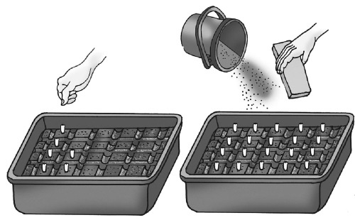 Иллюстрация к книге — Иллюстрированная энциклопедия огородника для новичков [i_065.jpg]