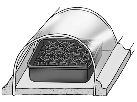 Иллюстрация к книге — Иллюстрированная энциклопедия огородника для новичков [i_066.jpg]