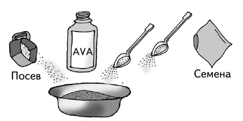 Иллюстрация к книге — Иллюстрированная энциклопедия огородника для новичков [i_077.jpg]