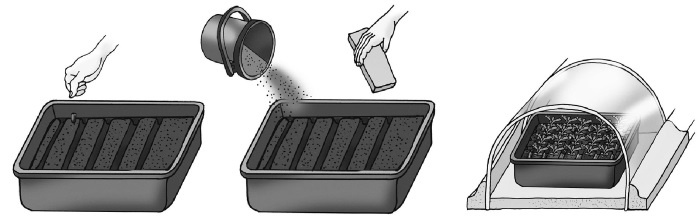 Иллюстрация к книге — Иллюстрированная энциклопедия огородника для новичков [i_085.jpg]