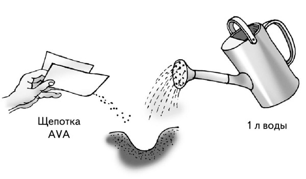 Иллюстрация к книге — Иллюстрированная энциклопедия огородника для новичков [i_097.jpg]