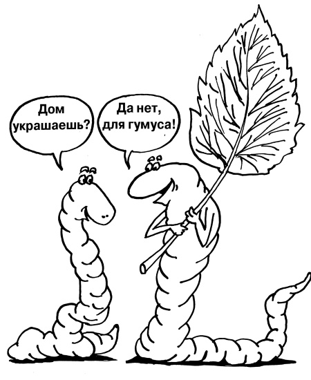 Иллюстрация к книге — Большая книга огородника и садовода. Все секреты плодородия [i_005.jpg]