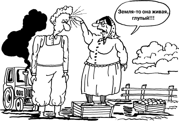 Иллюстрация к книге — Большая книга огородника и садовода. Все секреты плодородия [i_006.jpg]