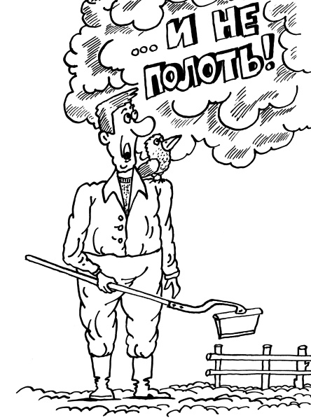 Иллюстрация к книге — Большая книга огородника и садовода. Все секреты плодородия [i_007.jpg]