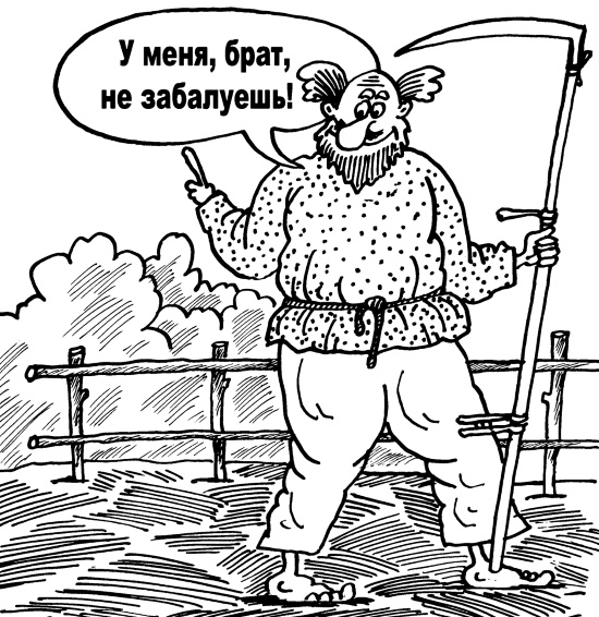 Иллюстрация к книге — Большая книга огородника и садовода. Все секреты плодородия [i_008.jpg]