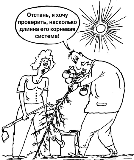 Иллюстрация к книге — Большая книга огородника и садовода. Все секреты плодородия [i_014.jpg]