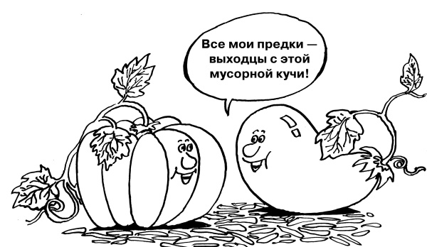 Иллюстрация к книге — Большая книга огородника и садовода. Все секреты плодородия [i_015.jpg]