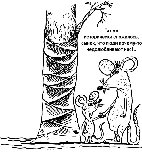 Иллюстрация к книге — Большая книга огородника и садовода. Все секреты плодородия [i_019.jpg]