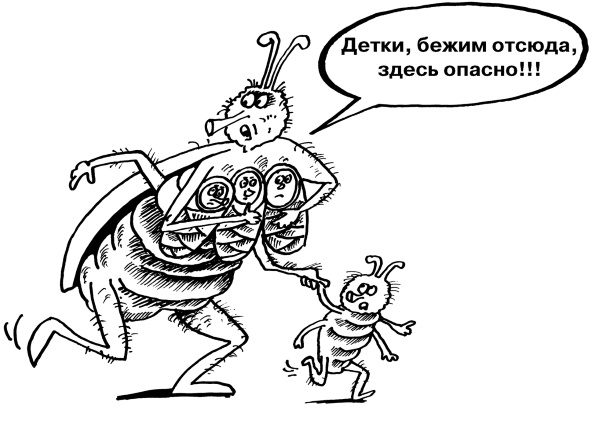 Иллюстрация к книге — Большая книга огородника и садовода. Все секреты плодородия [i_022.jpg]
