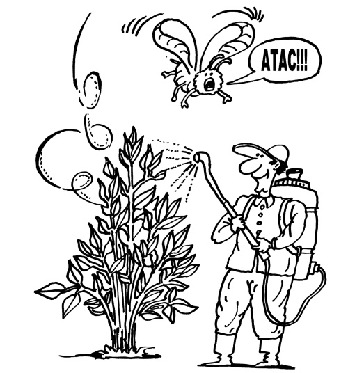 Иллюстрация к книге — Большая книга огородника и садовода. Все секреты плодородия [i_024.jpg]