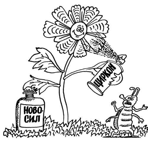 Иллюстрация к книге — Большая книга огородника и садовода. Все секреты плодородия [i_025.jpg]