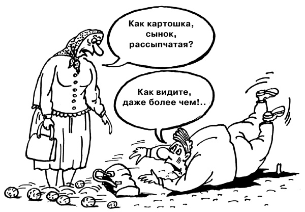 Иллюстрация к книге — Большая книга огородника и садовода. Все секреты плодородия [i_028.jpg]